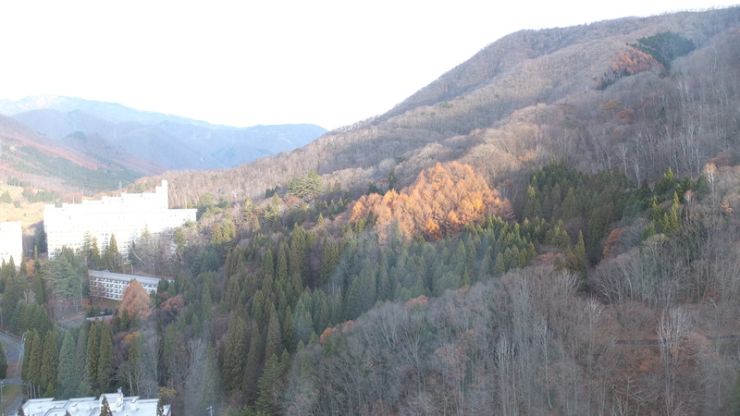 DSCF0986.jpg
