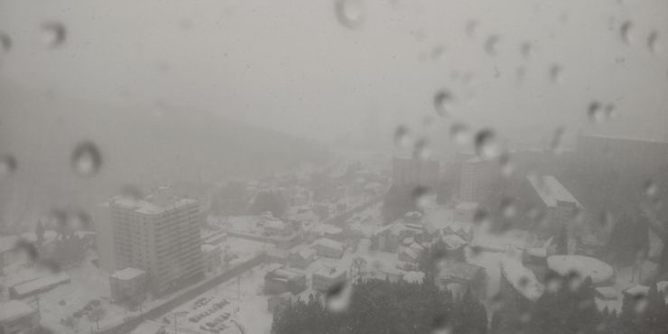 DSC_0502.jpg