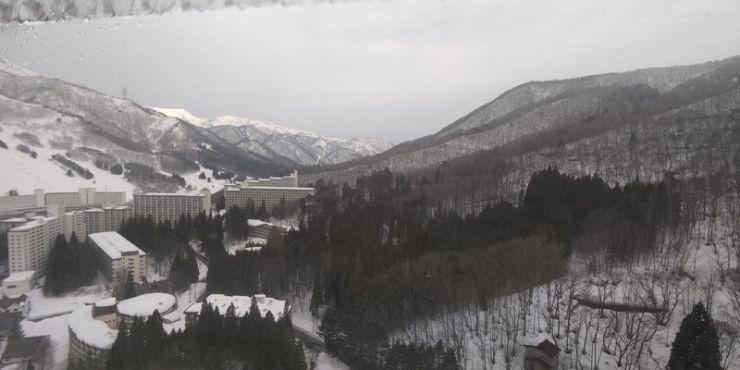 DSC_0500.jpg